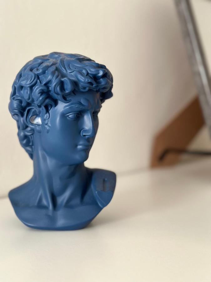Michelangelo - Casa Babette Bed & Breakfast Firenze Bagian luar foto